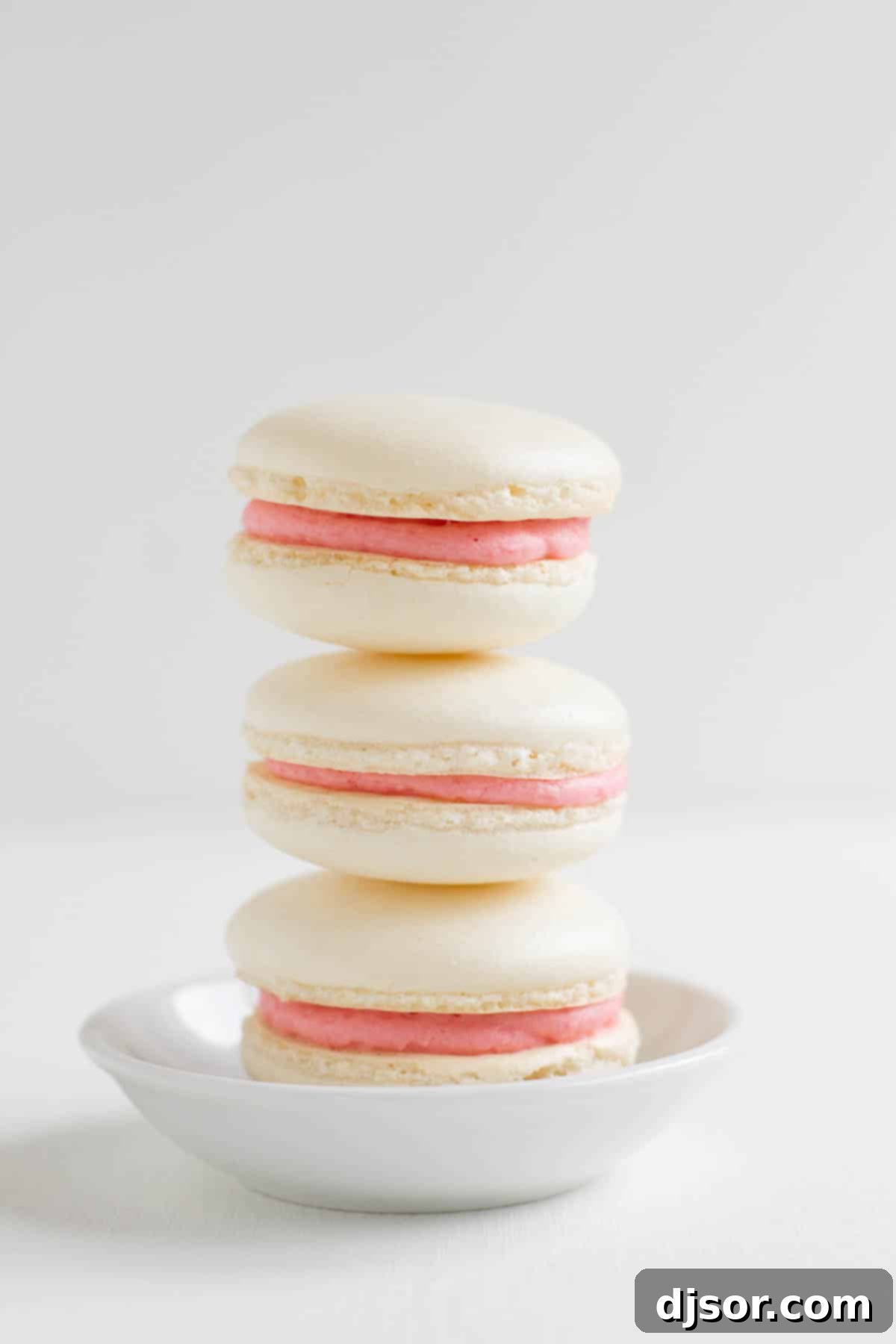 Tropical Strawberry Macarons 1 featured 15193