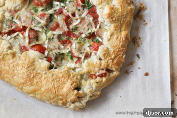The Maine Summers Cookbook Review Its Unforgettable Tomato Caramelized Onion and Brie Galette 1 featured 1823