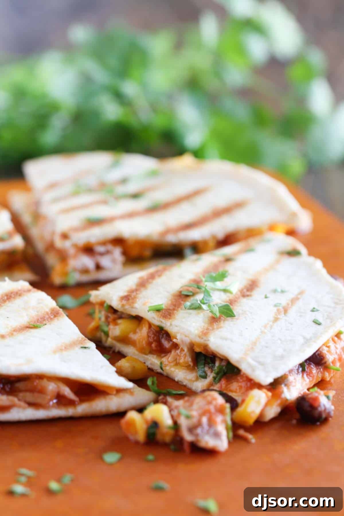 Ultimate Grilled Chicken Quesadillas 1 featured 2324
