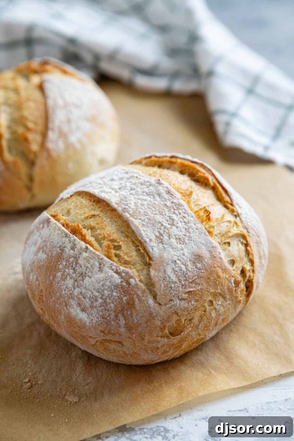 No Knead Crusty Artisan Bread 1 featured 255