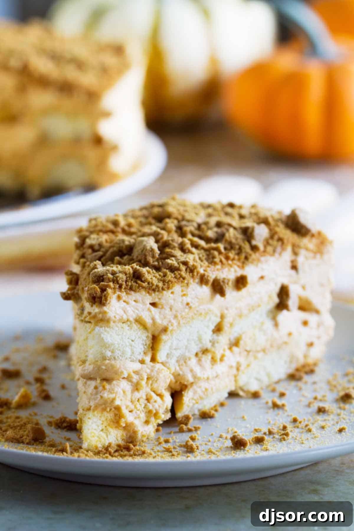 Autumn Pumpkin Delight: A Tiramisu Twist 1 featured 26018