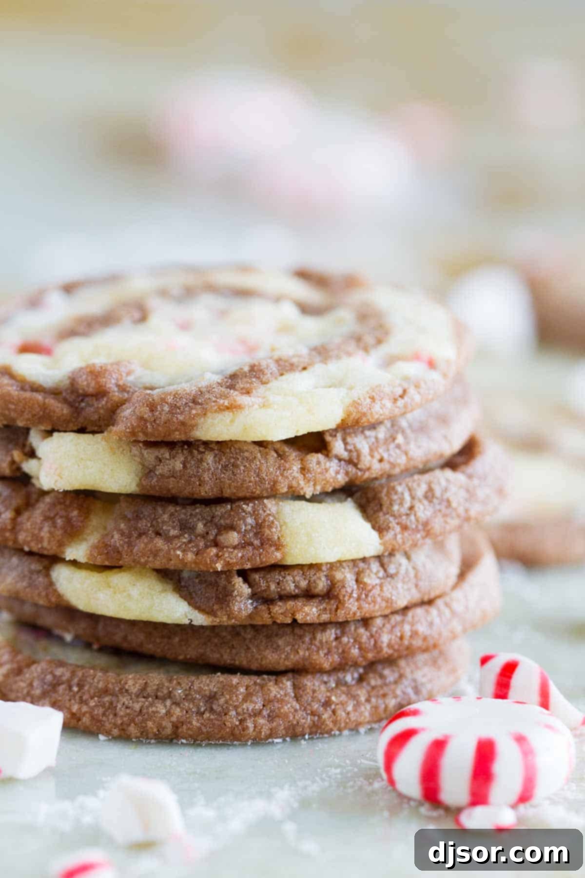 Candy Cane Chocolate Swirl Cookies 1 featured 26614