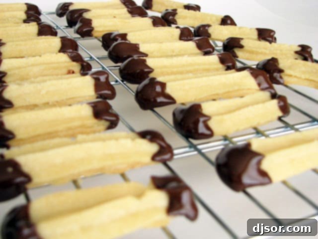 Chocolate Enrobed Cookie Bliss 1 featured 271