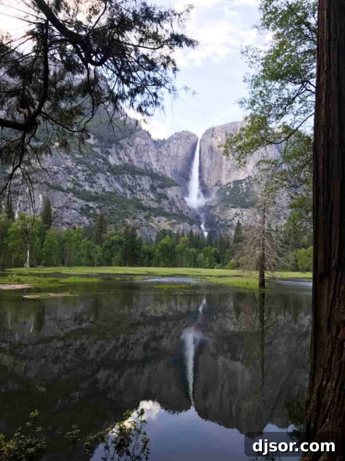 Yosemite National Park: Our Housekeeping Camp Adventure 1 featured 30435