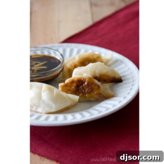 Pot Stickers: Our November Cookbook Pick 1 featured 3140