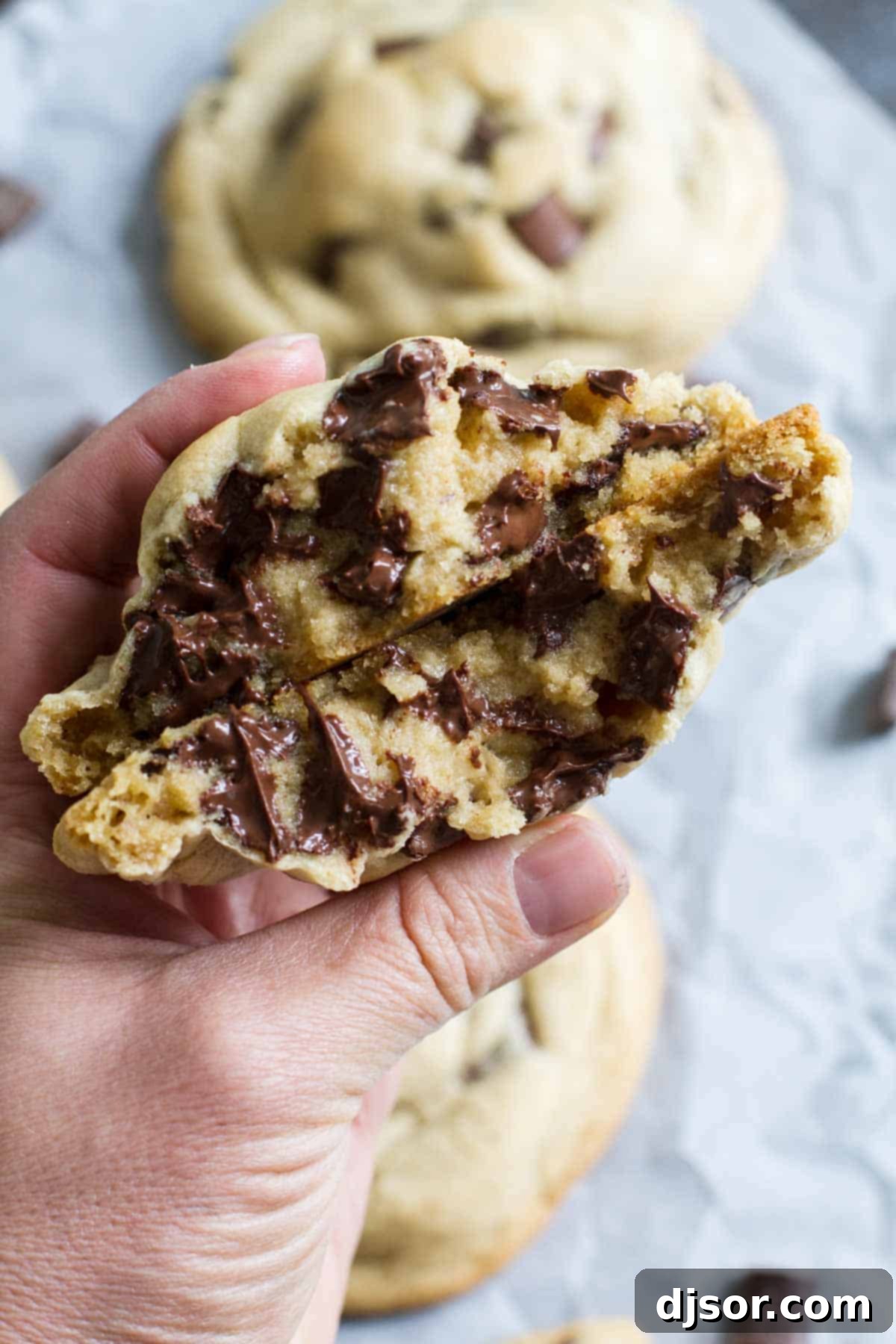 Perfect Giant Chocolate Chip Cookie 1 featured 34223