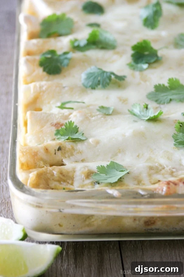 Creamy Green Chile Chicken Enchiladas with Black Beans and Zucchini 1 featured 3434
