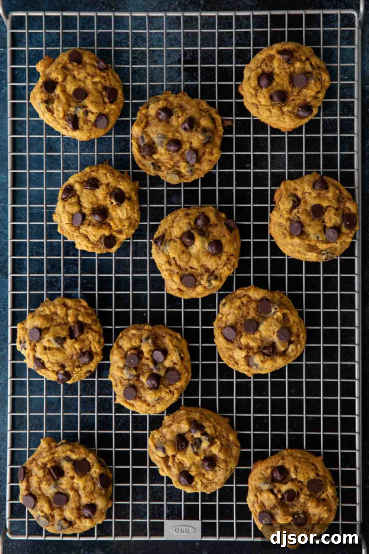 Spiced Pumpkin Oatmeal Chocolate Chip Cookies 1 featured 46720