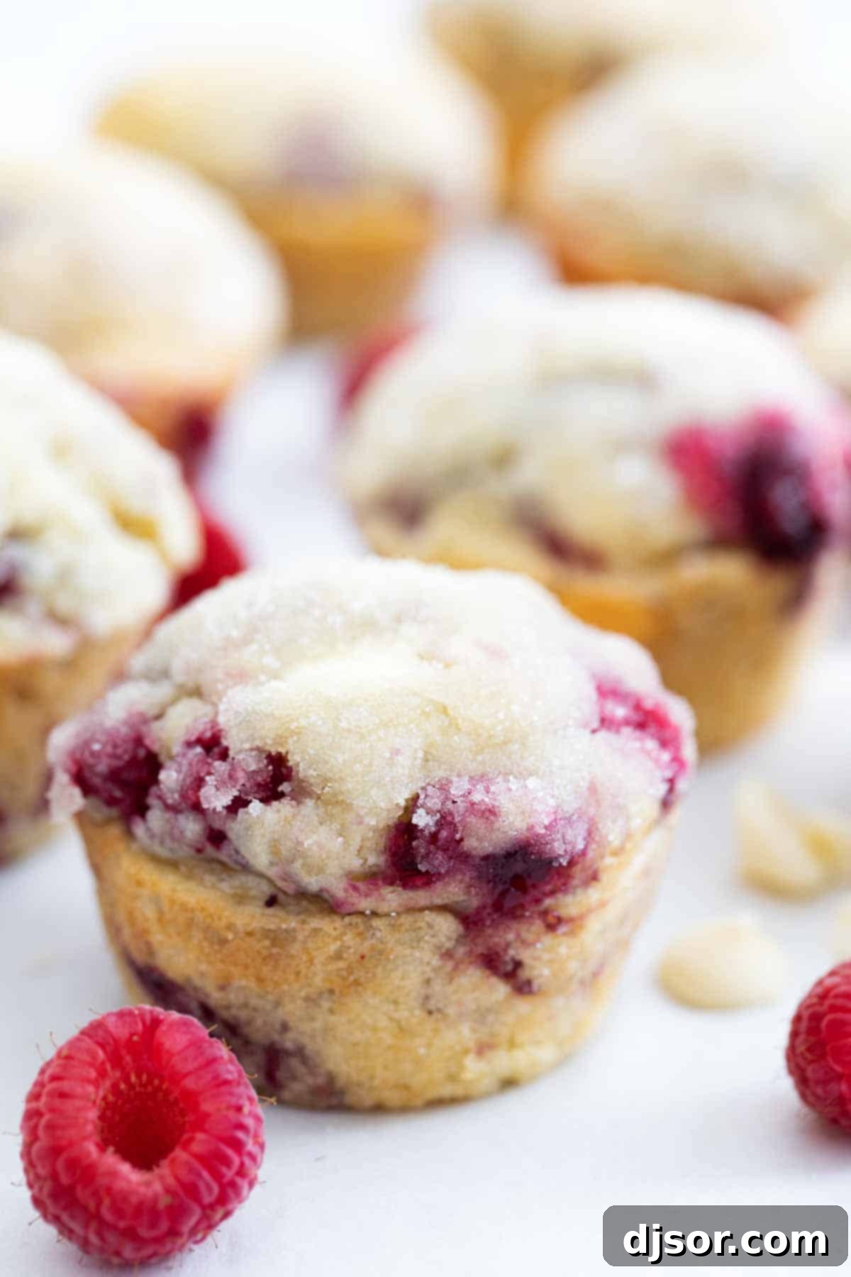 Raspberry White Chocolate Chip Delights 1 featured 53623