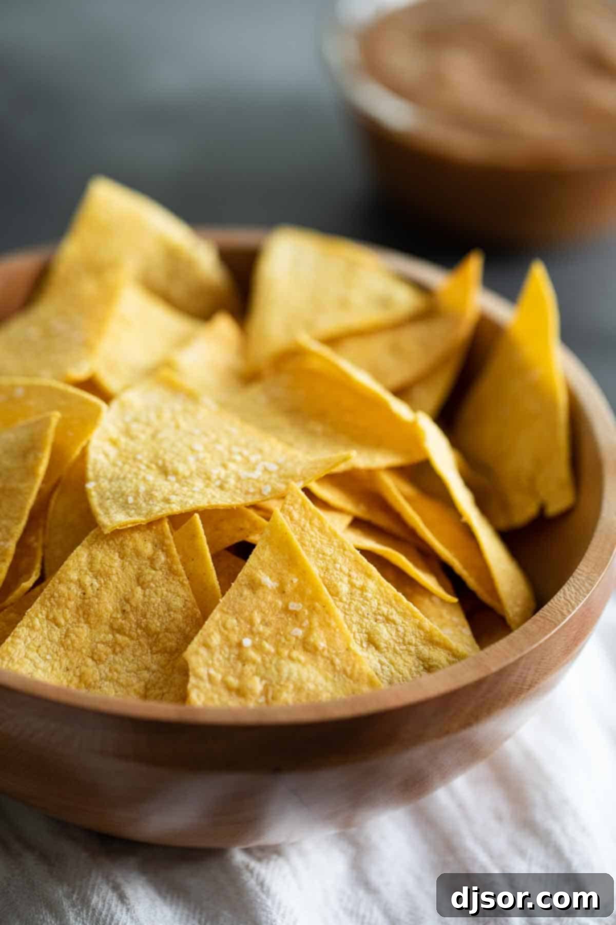 Crispy Homemade Tortilla Chips 1 featured 53657