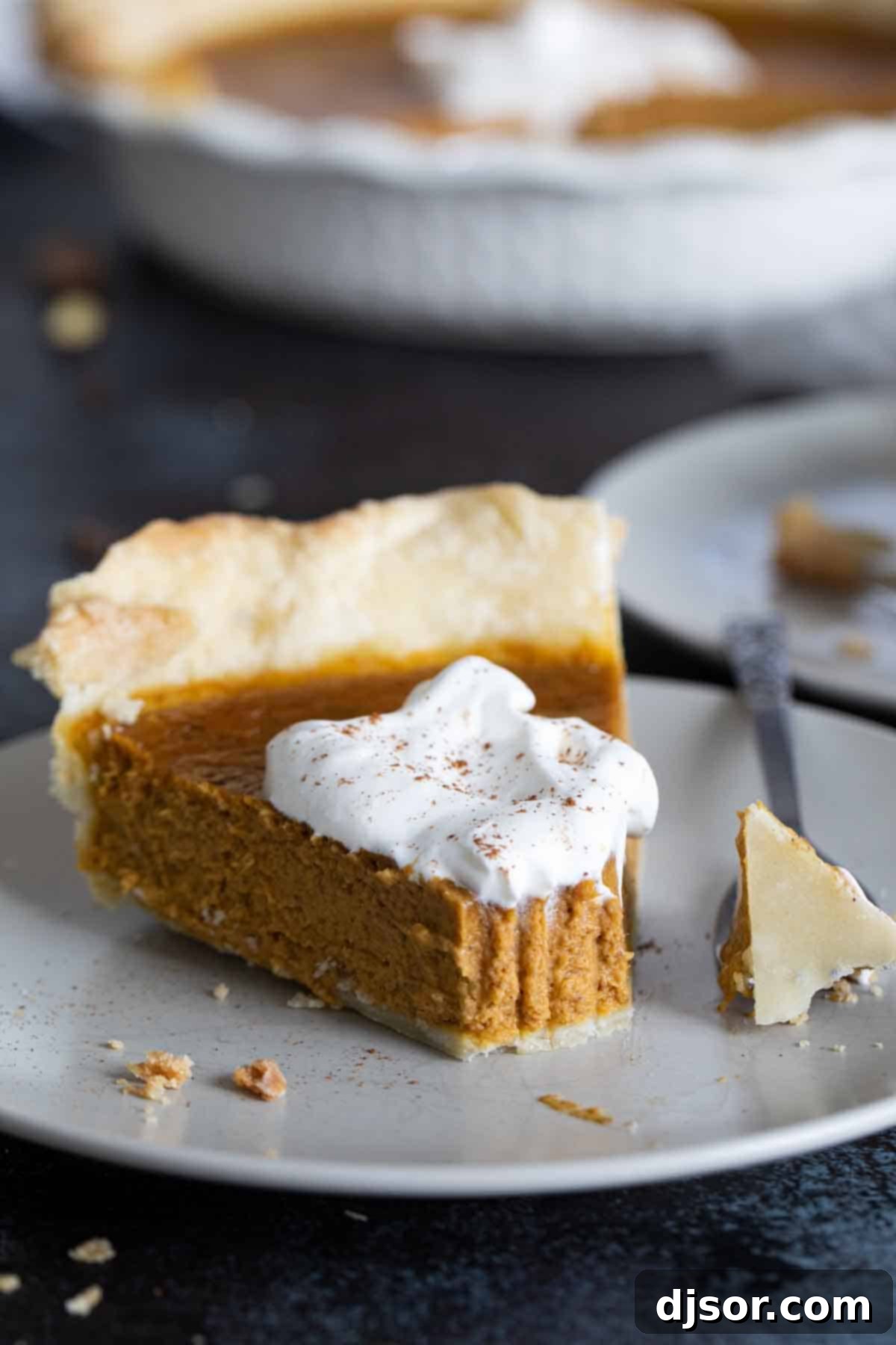 Autumn's Golden Slice 1 featured 55745