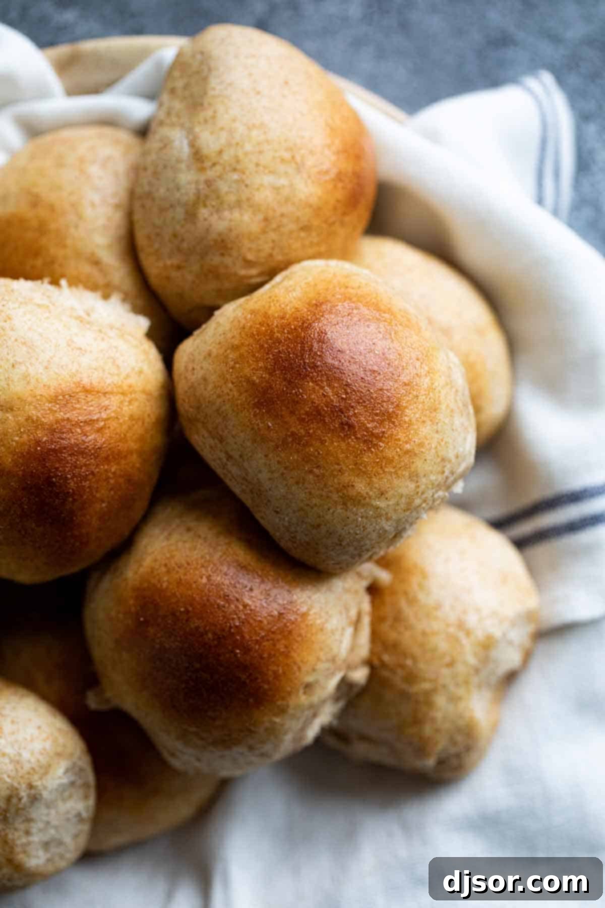 Golden Whole Wheat Rolls 1 featured 6272