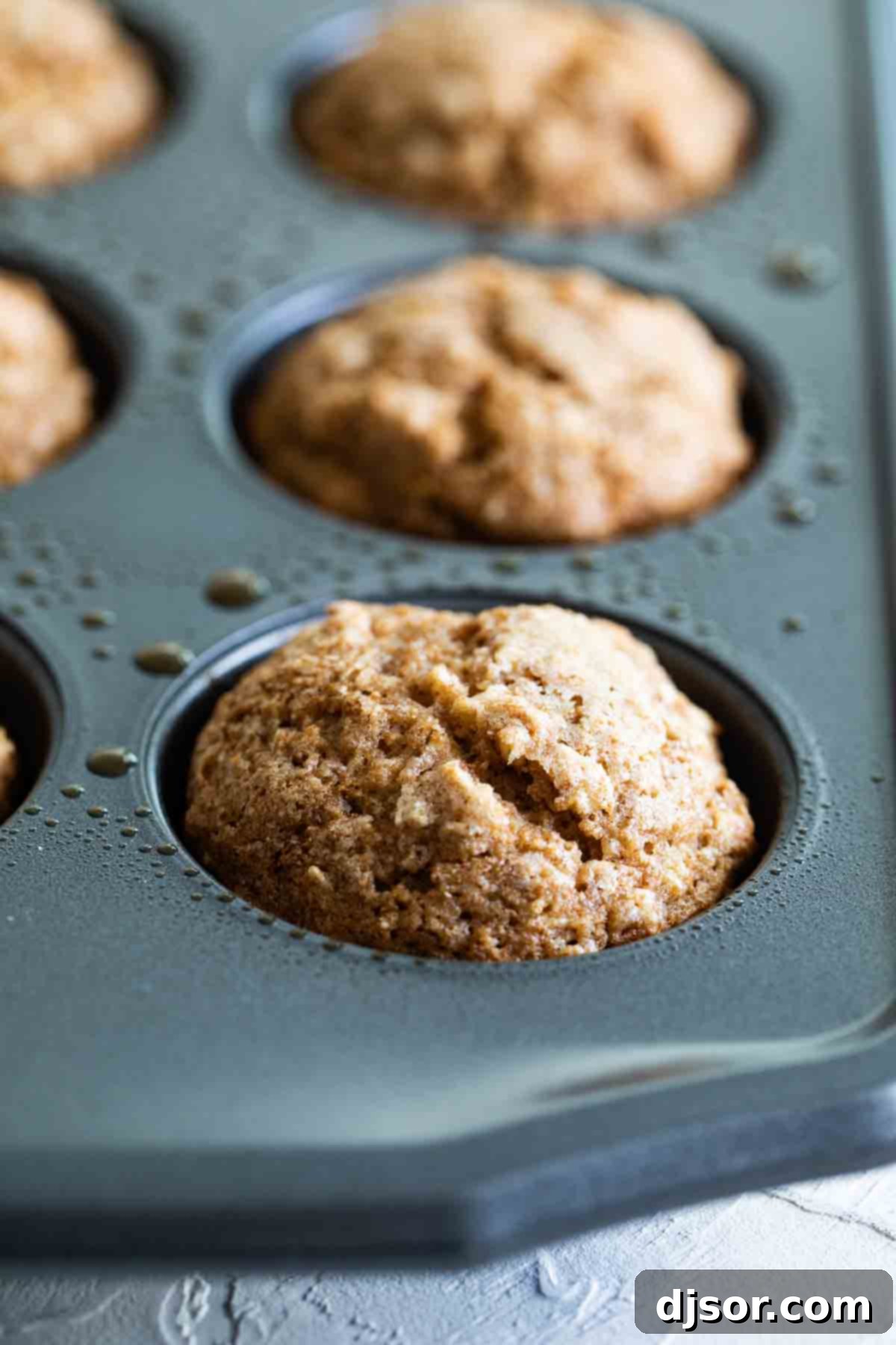 Wholesome Oatmeal Muffins 1 featured 817