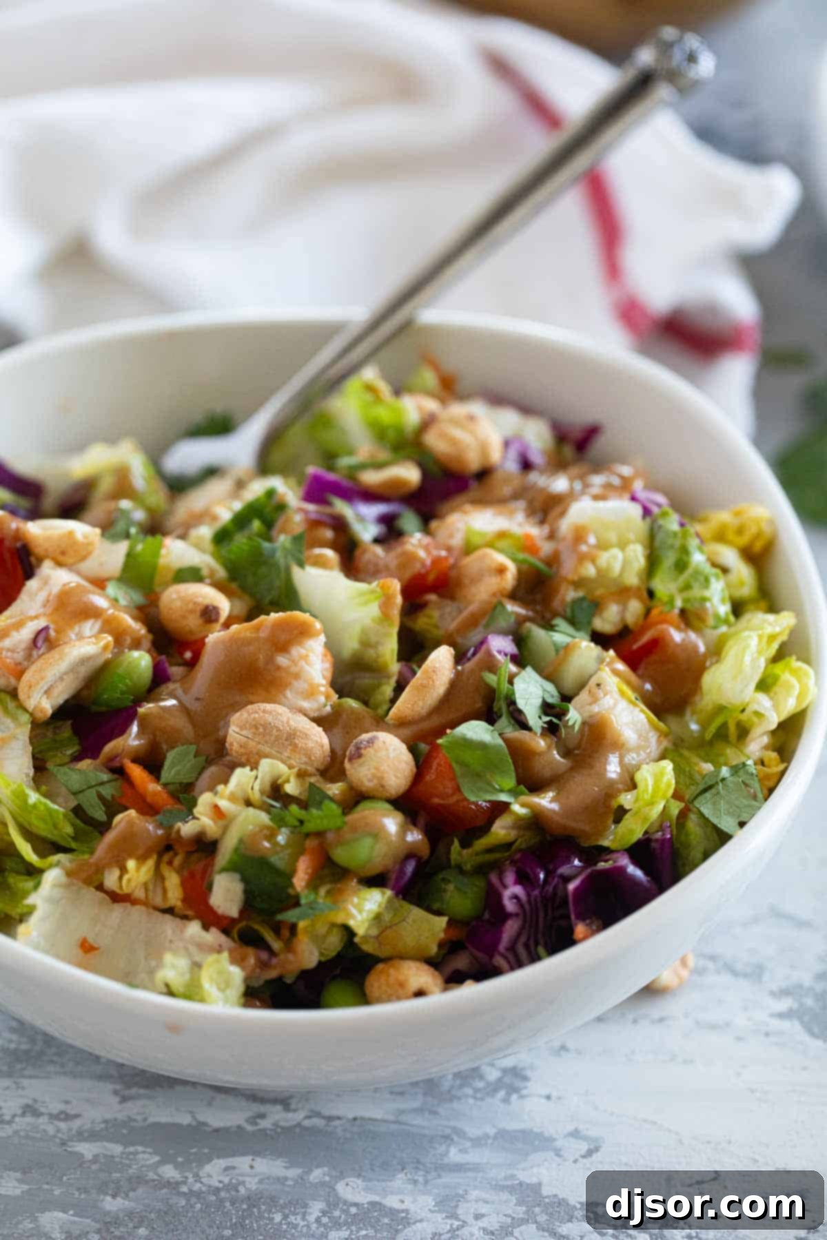 Vibrant Thai Chicken Salad 1 featured 8496