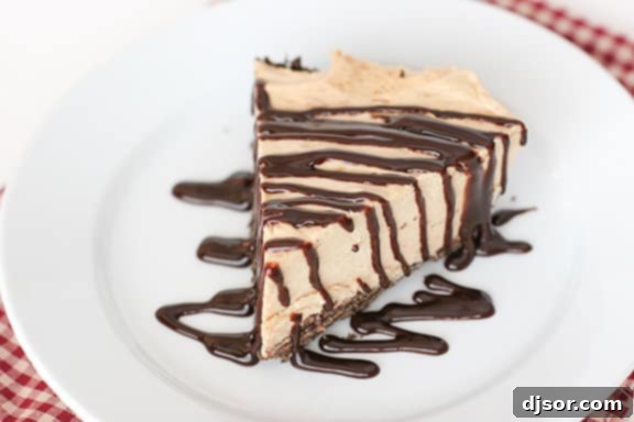 Creamy Frozen Peanut Butter Cookie Pie 1 featured 898