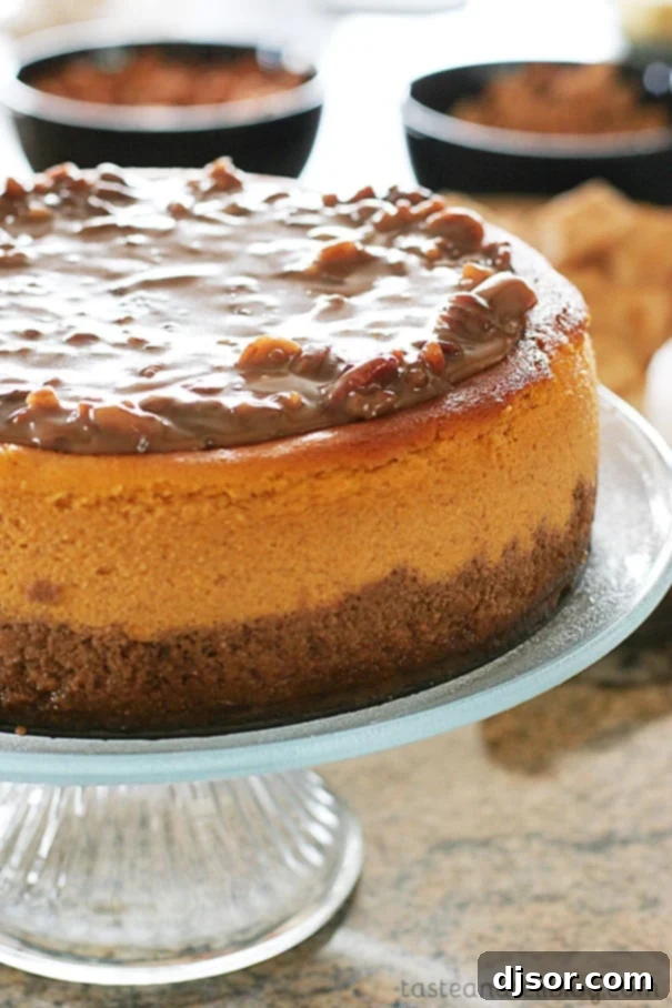 The Ultimate Praline Cheesecake 1 featured 940