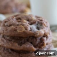 Stack of Chocolate, Peanut Butter, and Marshmallow Pudding Cookies.