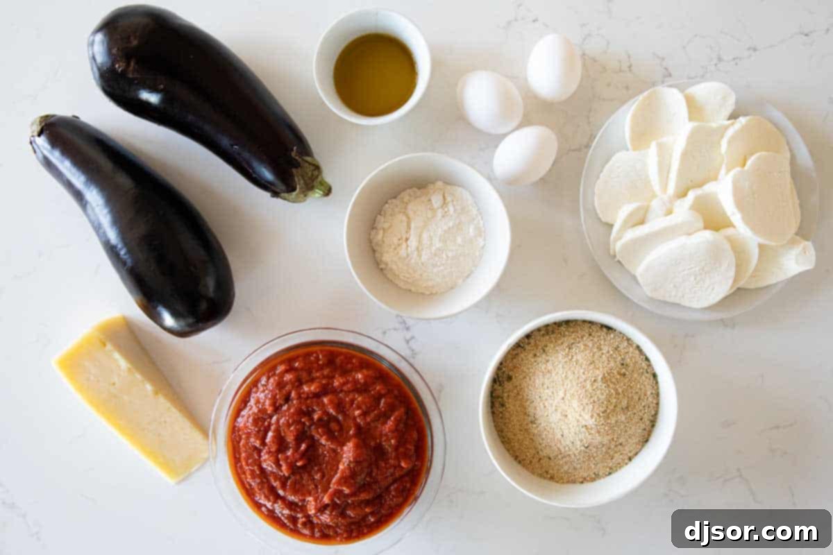 Breaded slices of eggplant, lots of cheese, and marinara sauce make up this Eggplant Parmesan that the whole family will love. ingredients needed to make eggplant parmesan.