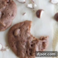 Chocolate Malt Whopper Drop with a bite taken from it.