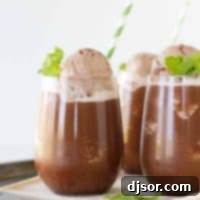 Chilled Chocolate Bliss 2 Iced Chocolate drink topped with gelato