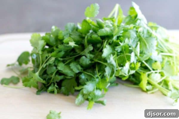 Velvety Cilantro Chile Chicken Tacos 3 Fresh cilantro ready to be used in Creamy Cilantro Chile Tacos