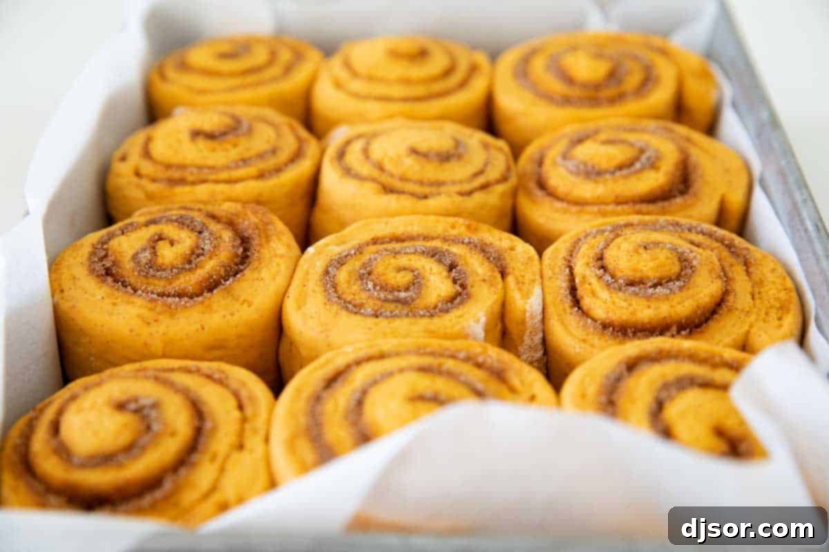 A pan full of freshly baked Pumpkin Cinnamon Rolls, golden brown and ready for frosting, shown without any topping.