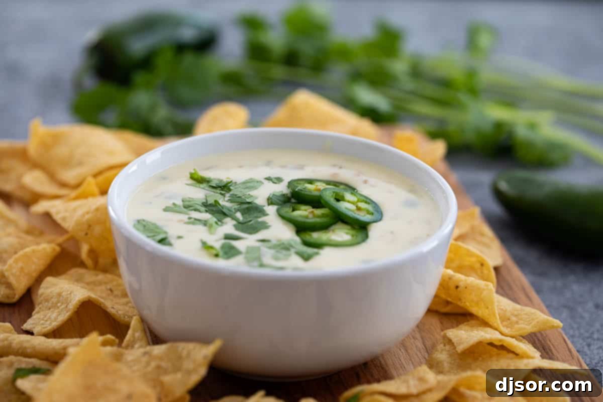 A large bowl of creamy white queso blanco, garnished with chopped cilantro and surrounded by golden tortilla chips, invitingly ready for dipping.