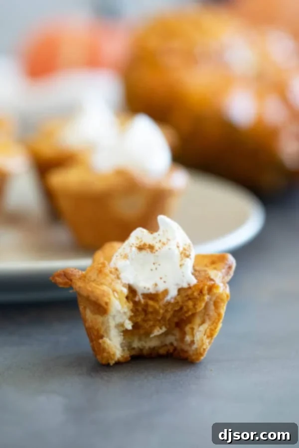 Mini Pumpkin Crescent Pies 8 A mini pumpkin pie made with a crescent roll crust with a bite taken from it.