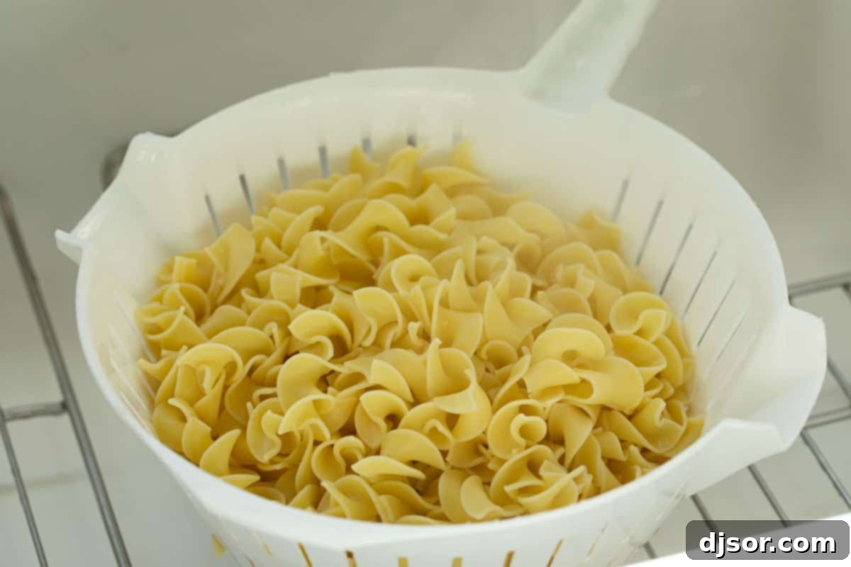 Egg Noodles in a Colander