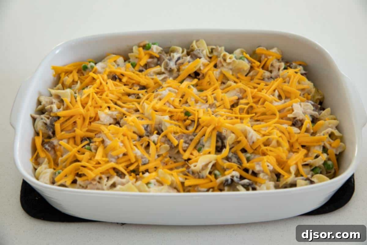 Casserole with Cheese
