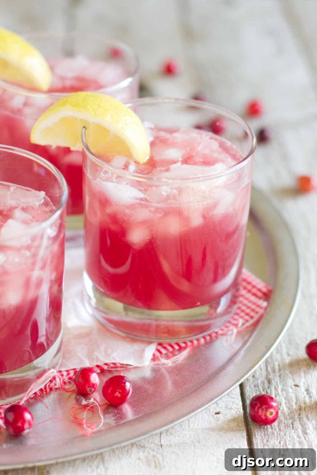 Glasses filled with effervescent sparkling cranberry punch, garnished with fresh lemon slices and a few whole cranberries, ready for a festive holiday celebration.