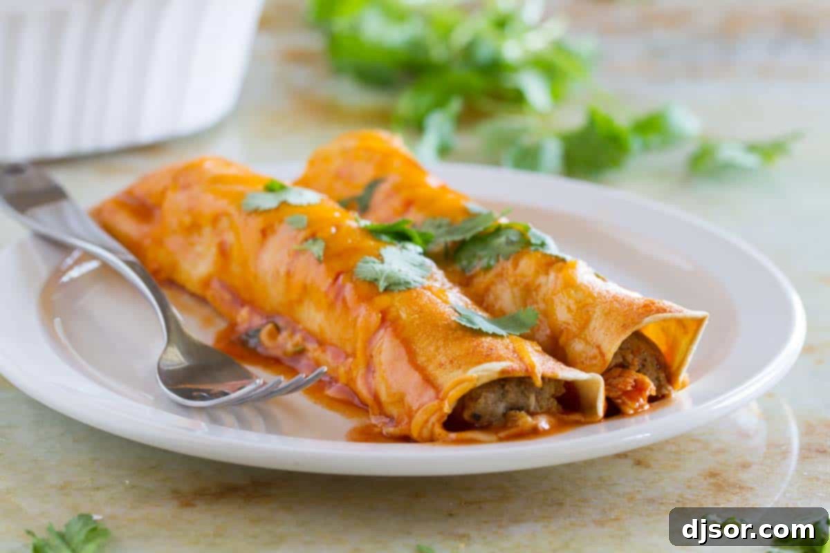 A serving of Thanksgiving Leftover Enchiladas, garnished with fresh cilantro and sour cream, showcasing a unique twist on holiday ingredients.