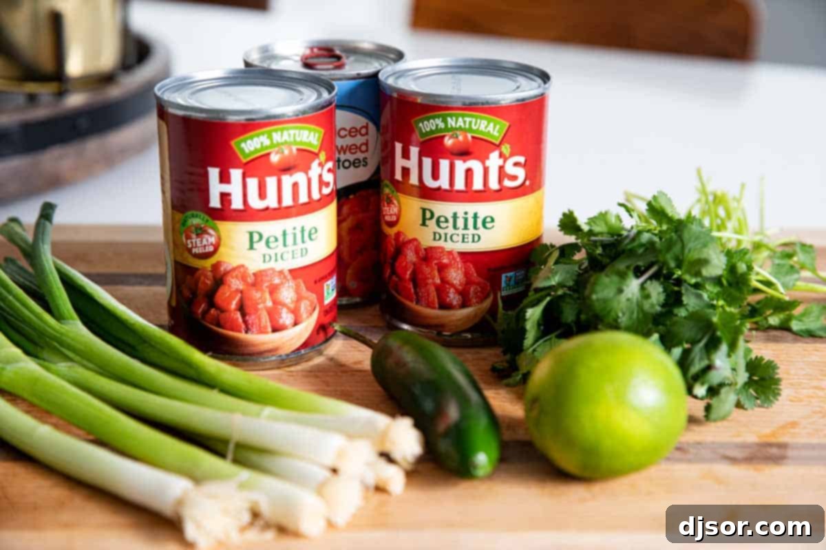 Fresh ingredients that make up the delicious and easy homemade salsa. A selection of fresh ingredients including tomatoes, green onions, jalapeños, and cilantro laid out for homemade salsa preparation.
