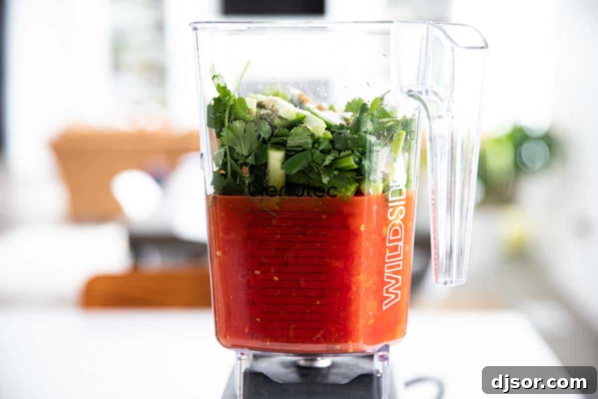 Salsa ingredients in a blender, ready for blending. All the fresh salsa ingredients artfully arranged within a blender, ready to be processed.