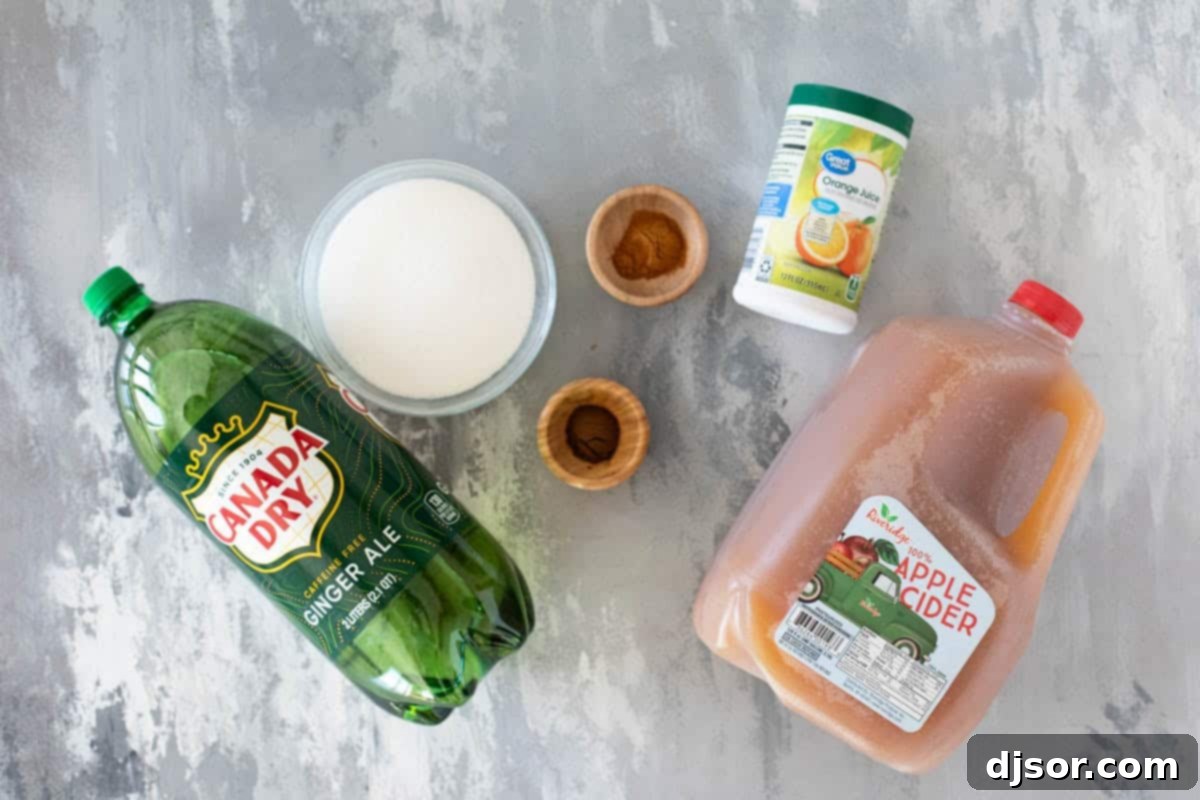 Ingredients for Apple Cider Punch including apple cider, sugar, cinnamon, allspice, orange juice concentrate, and ginger ale.