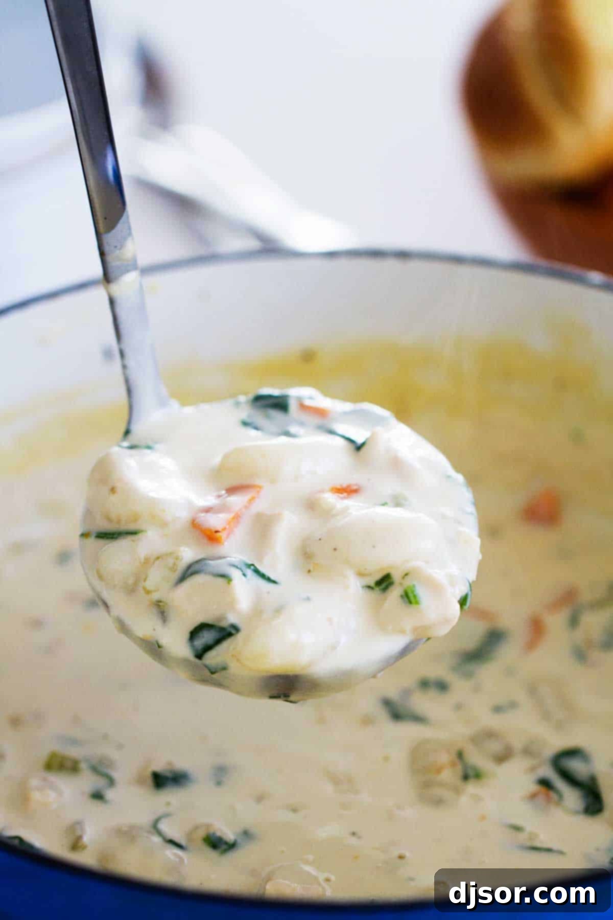 A ladle filled with creamy Chicken and Gnocchi Soup, showcasing tender chicken pieces, soft gnocchi, and fresh spinach.