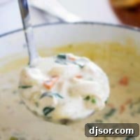 Chicken and Gnocchi Soup in a ladle