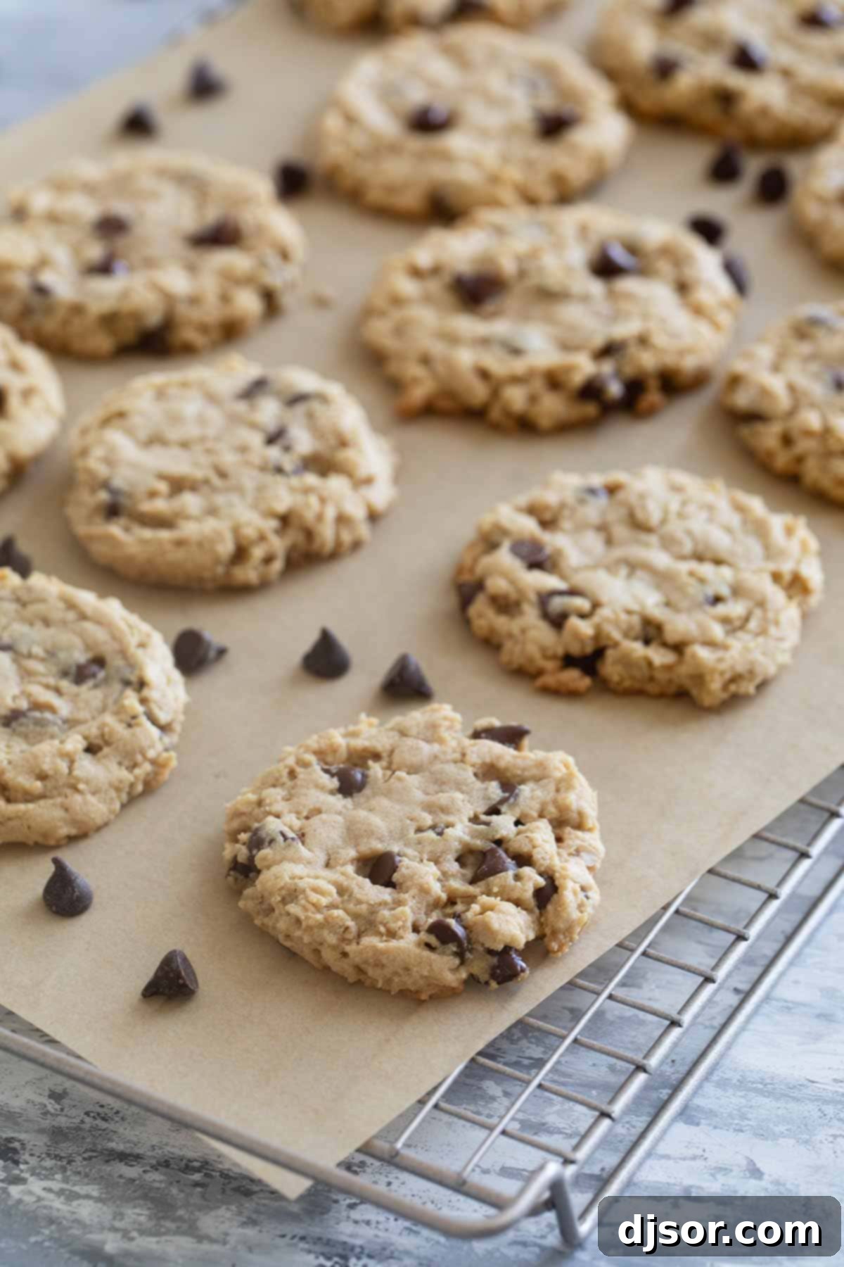 Ultimate Peanut Butter Oatmeal Chocolate Chip Cookies 7 Freshly baked Peanut Butter Oatmeal Cookies with Chocolate Chips cooling on a wire rack.