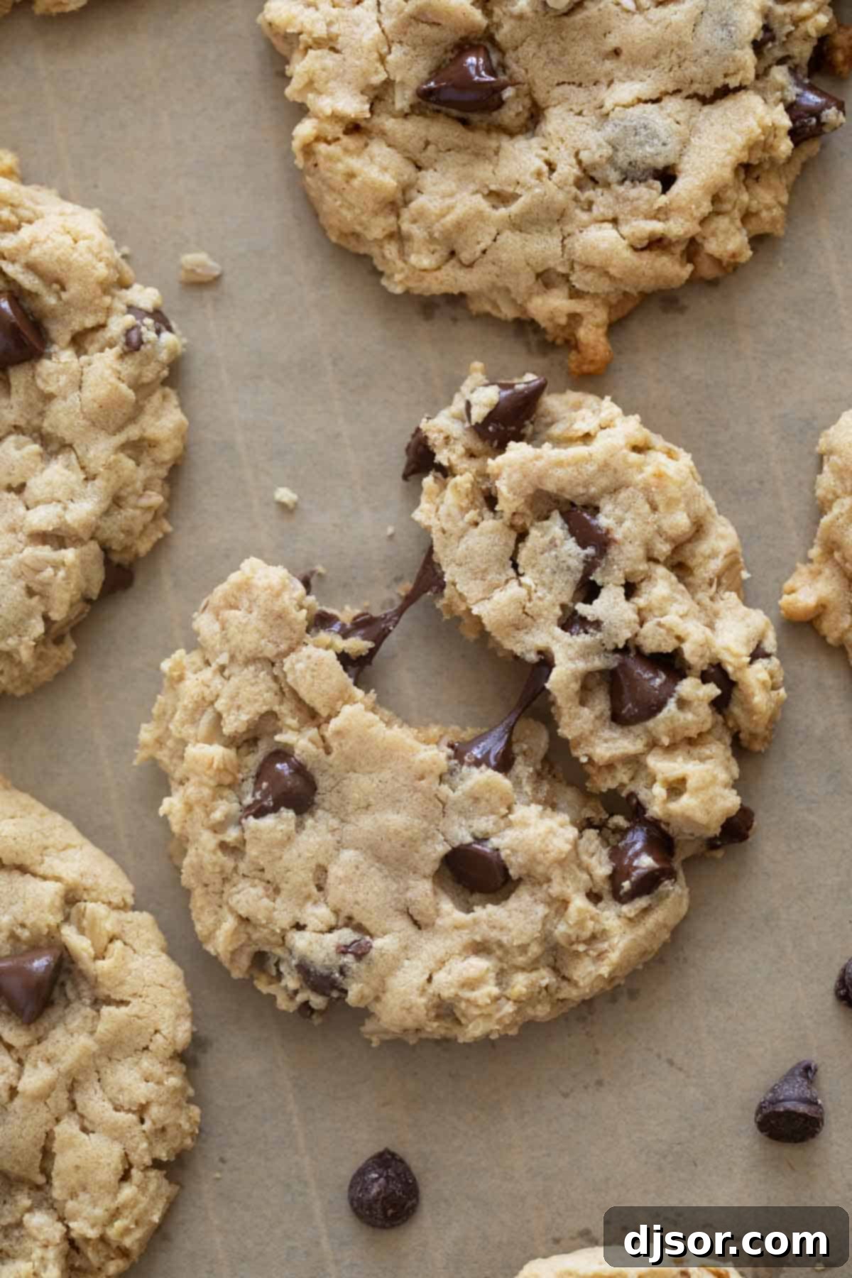 Ultimate Peanut Butter Oatmeal Chocolate Chip Cookies 8 Peanut butter oatmeal cookies with chocolate chips, one broken in half to show melted chocolate inside.