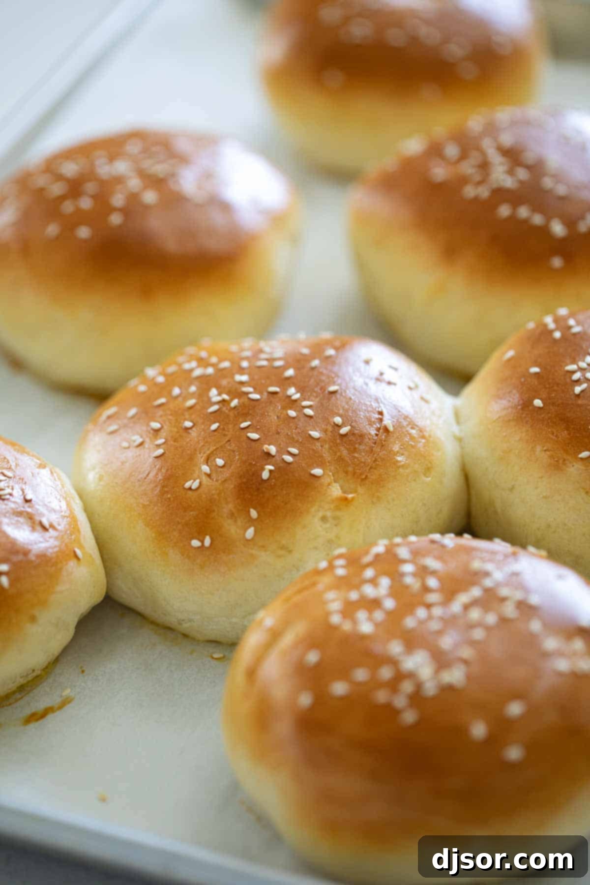 Fluffy Homemade Hamburger Buns Topped with Sesame Seeds Freshly baked homemade hamburger buns adorned with sesame seeds, resting on a cooling rack after coming out of the oven.