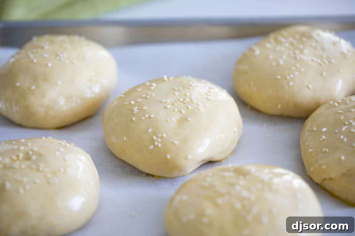 Perfectly Risen Dough for Fluffy Homemade Hamburger Buns Beautifully risen hamburger bun dough, visibly airy and expanded, waiting to be shaped into individual buns.