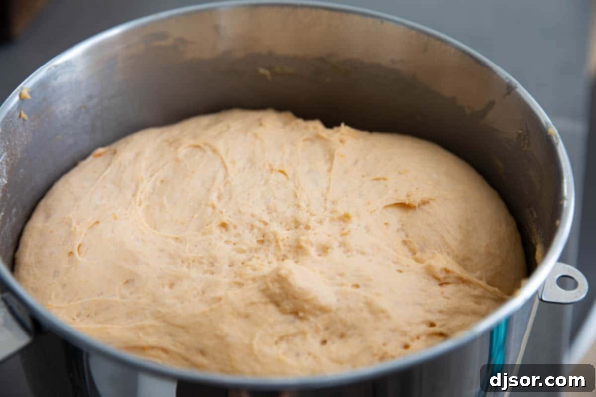 Soft and fluffy and slightly sweet, these Sweet Potato Buttermilk Crescent Rolls are perfect for a holiday. These homemade crescent rolls are so much better than store bought! rising dough for crescent rolls