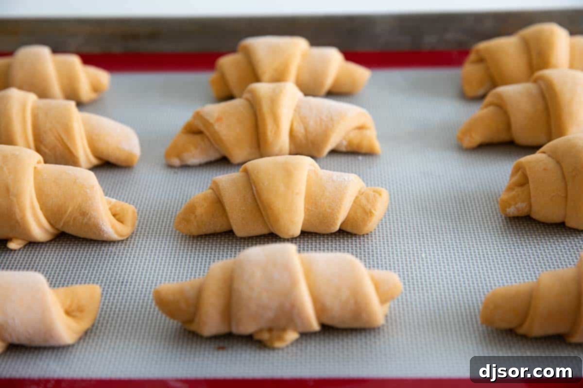 Soft and fluffy and slightly sweet, these Sweet Potato Buttermilk Crescent Rolls are so much better than store bought! rolled crescent rolls