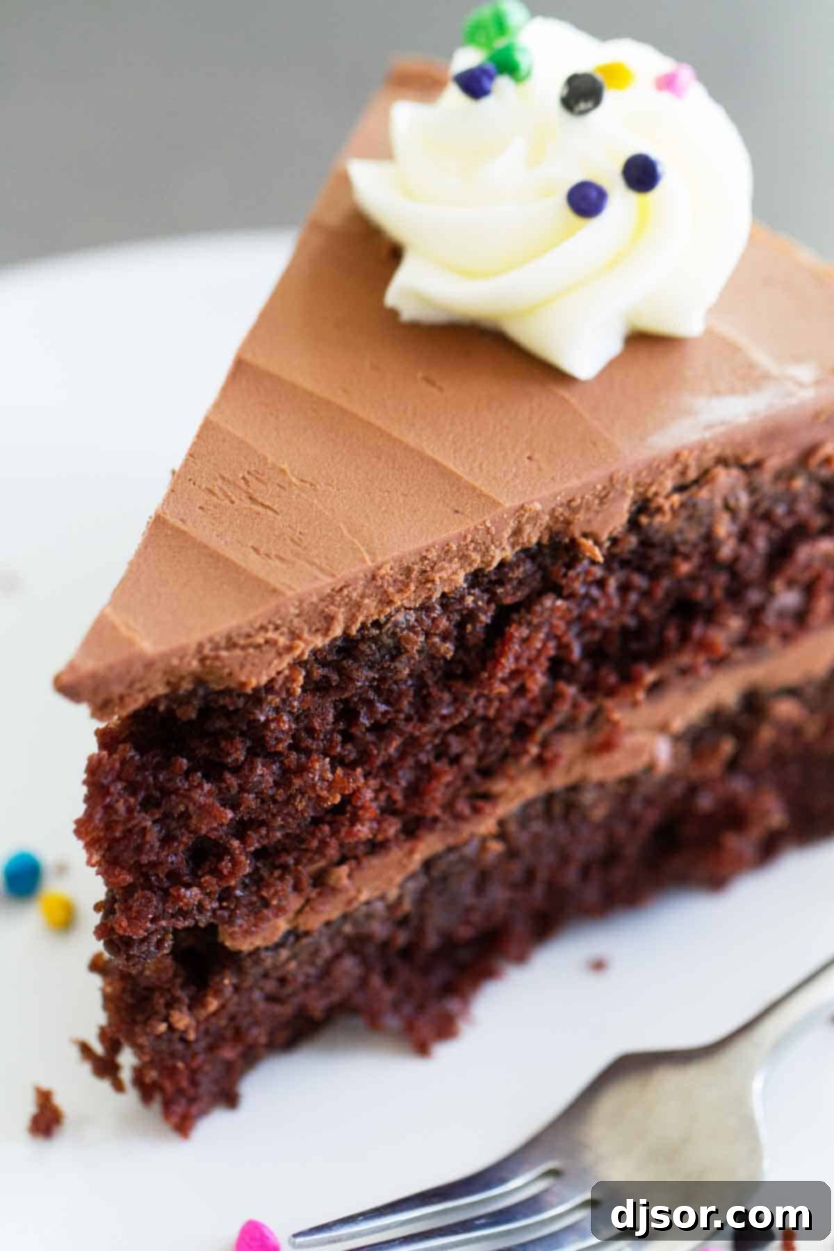 Close-up of a slice revealing the moist texture of the double chocolate cake. A close-up of a perfectly cut slice of double chocolate cake, highlighting its rich, dark color and moist crumb.