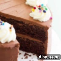 Decadent Double Chocolate Delight 2 Full double chocolate cake - chocolate cake frosted with fudgy chocolate frosting.