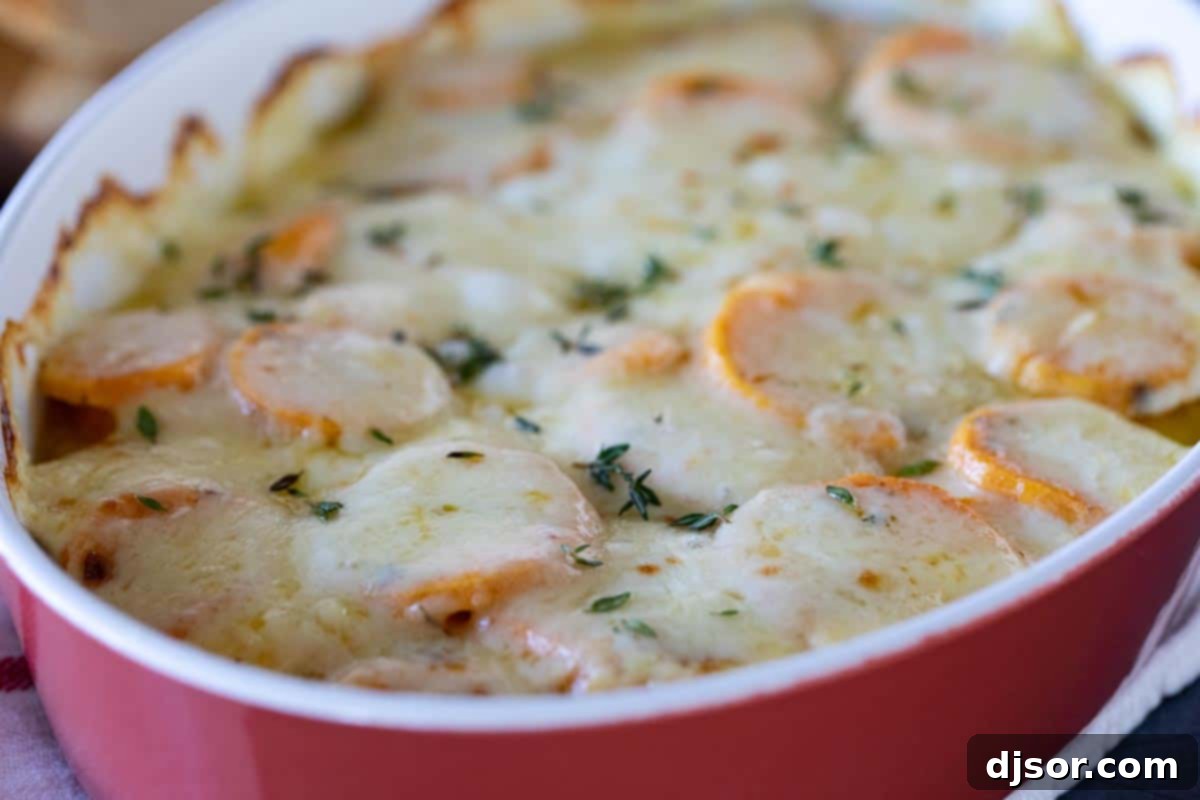 Creamy and cheesy, these Scalloped Sweet Potatoes are an easy addition to any holiday table. Layers or slice sweet potatoes are covered in cream and cheese in this indulgent savory side dish. A dish of creamy Scalloped Sweet Potatoes topped with melted cheese and fresh thyme, ready to serve.