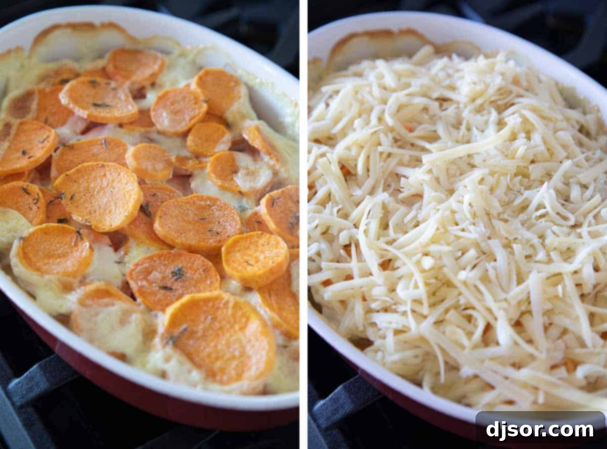 Creamy and cheesy, these Scalloped Sweet Potatoes are an easy addition to any holiday table. Layers or slice sweet potatoes are covered in cream and cheese in this indulgent savory side dish. A baking dish of partially baked sweet potatoes, with shredded Gruyere cheese being sprinkled over the top before final baking.