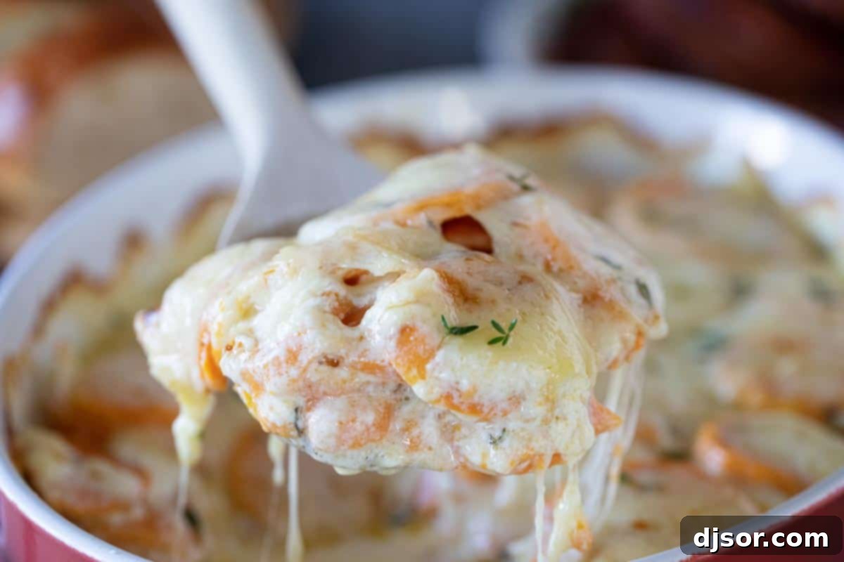 Creamy and cheesy, these Scalloped Sweet Potatoes are an easy addition to any holiday table. Layers or slice sweet potatoes are covered in cream and cheese in this indulgent savory side dish. A wooden spoon scooping out a serving of scalloped sweet potatoes, showing the creamy layers and melted cheese pull.
