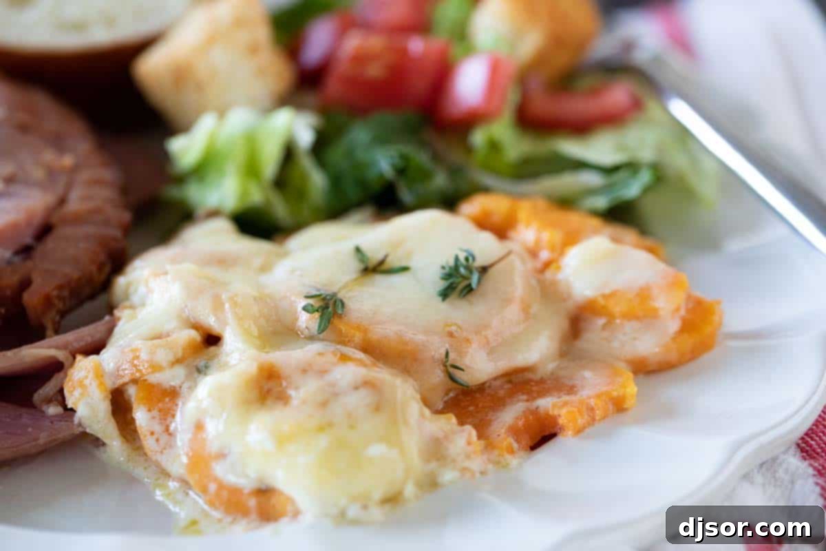 Creamy and cheesy, these Scalloped Sweet Potatoes are an easy addition to any holiday table. Layers or slice sweet potatoes are covered in cream and cheese in this indulgent savory side dish. A portion of creamy Scalloped Sweet Potatoes served on a white plate, garnished with a sprig of fresh thyme.