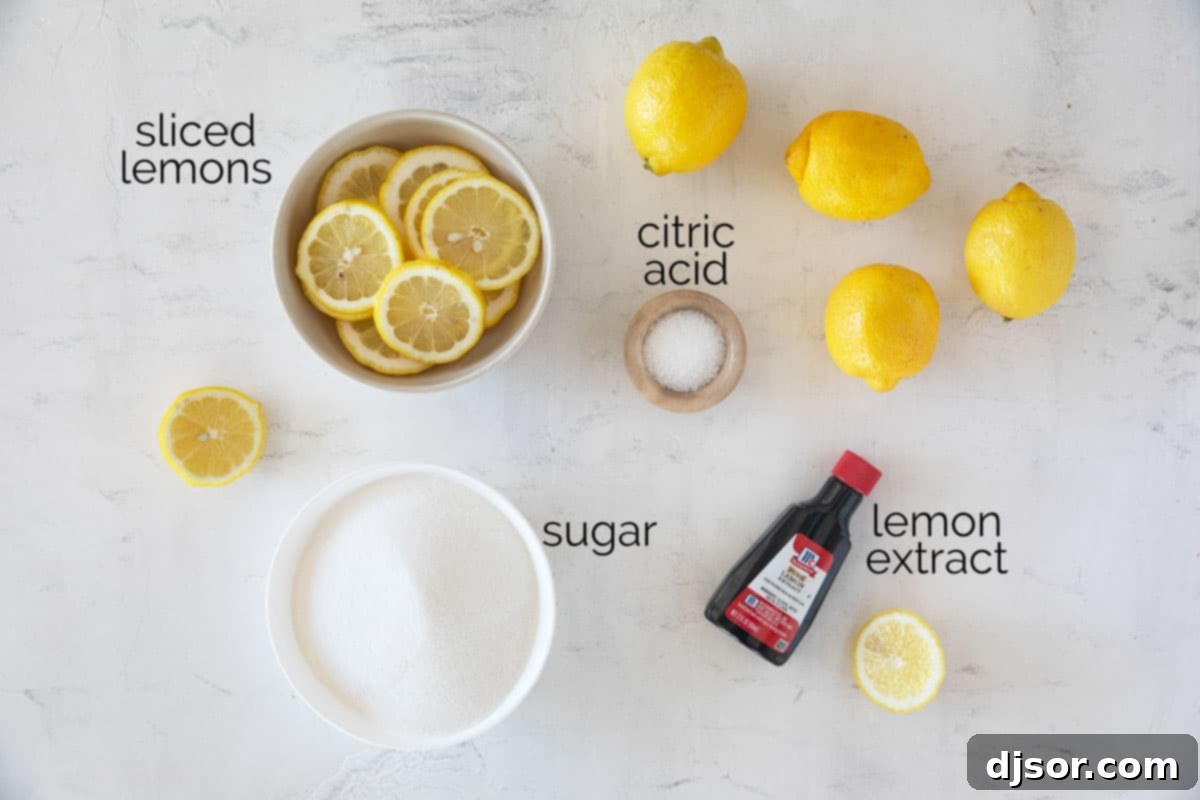 Sweet Lemon Refreshment 3 Fresh ingredients laid out on a counter, ready to be transformed into refreshing sweet lemon water.